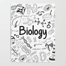 Biologie poster